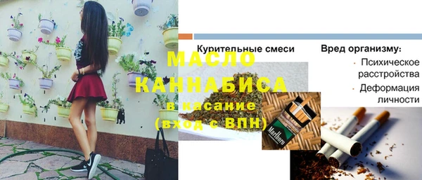дживик Богородицк