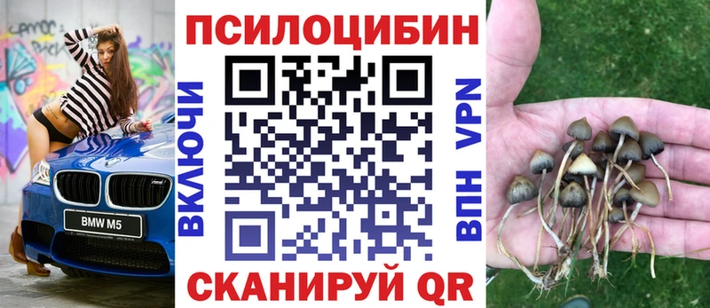 Галлюциногенные грибы Magic Shrooms Окуловка
